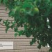 Сайдинг Ю-Пласт TIMBERBLOCK Пихта (Тимберблок) Cахалинская купить в Киришах