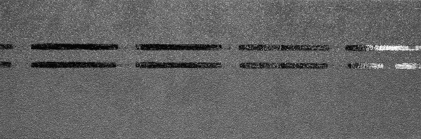 Коньково-карнизная черепица Docke Premium, черника купить в Киришах