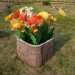 Цветник КАНЬОН купить в Киришах