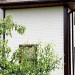Фасадная панель Grand Line Сланец молочный купить в Киришах